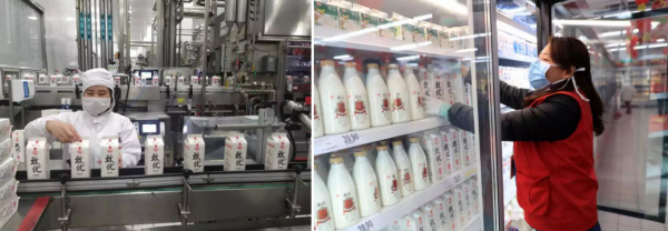保住“奶瓶子”,穩住“菜籃子”,光明一直在行動!