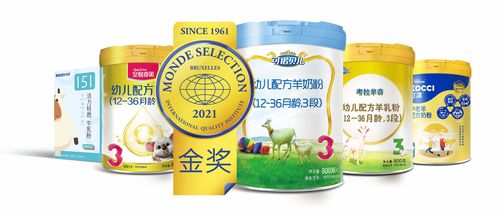 公益行丨重陽敬老弘揚(yáng)傳統(tǒng),多加多國際公益之行慰問老人