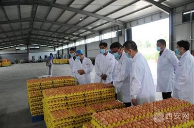 市復審辦檢查藍田縣、閻良區(qū)國家食品安全示范城市復審迎檢工作