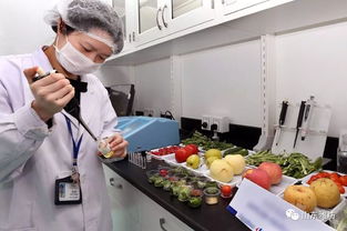 山東全部設區的市和80 以上的縣 市區 納入食安先進創建范圍